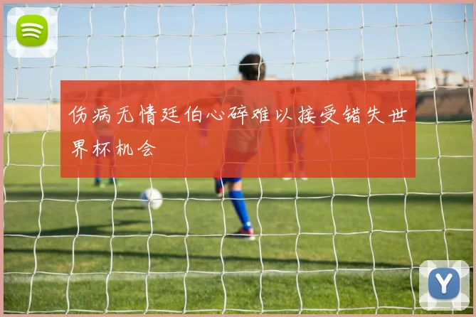 伤病无情廷伯心碎难以接受错失世界杯机会