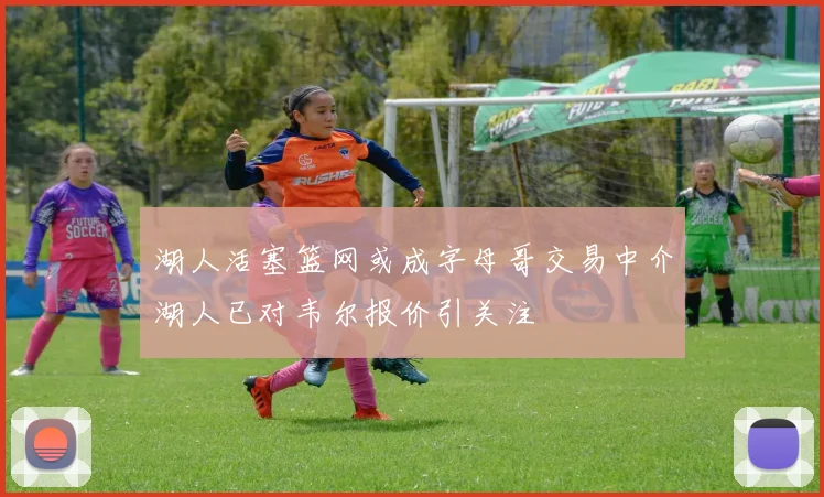 湖人活塞篮网或成字母哥交易中介湖人已对韦尔报价引关注