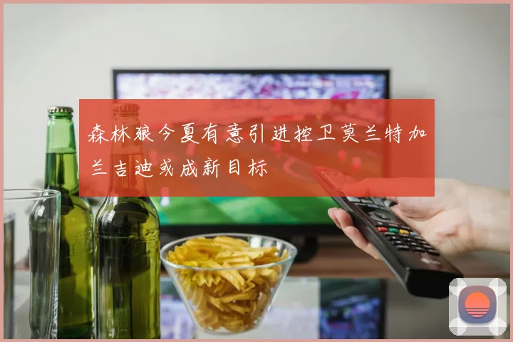 森林狼今夏有意引进控卫莫兰特加兰吉迪或成新目标